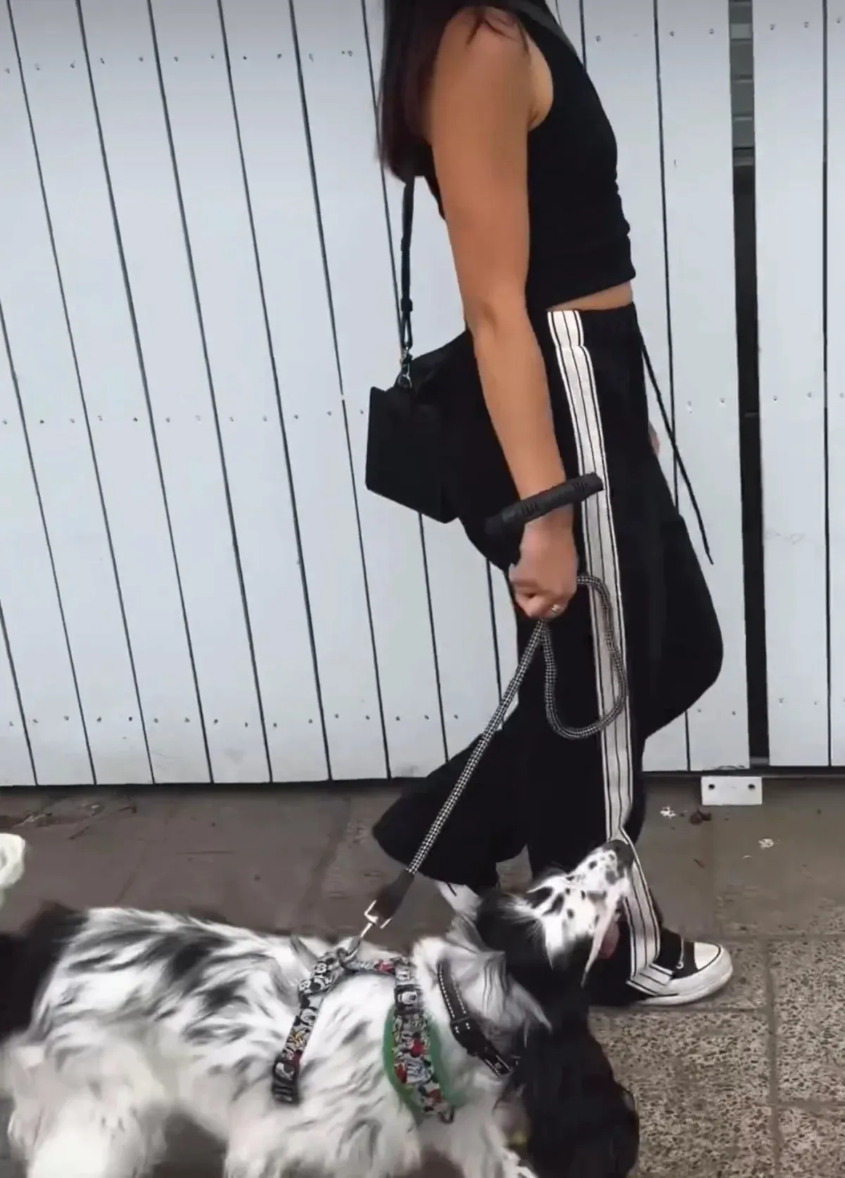 PANAREA TRACKPANT  - BLACK - JASMINE ALEXA